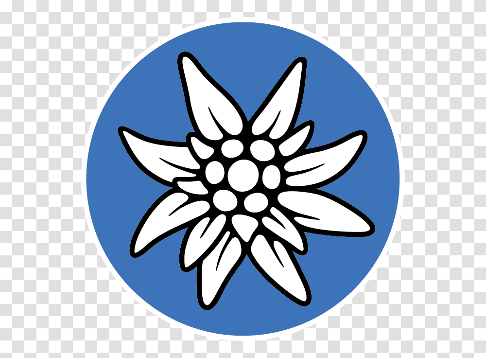 Edelweiss, Nature, Label Transparent Png