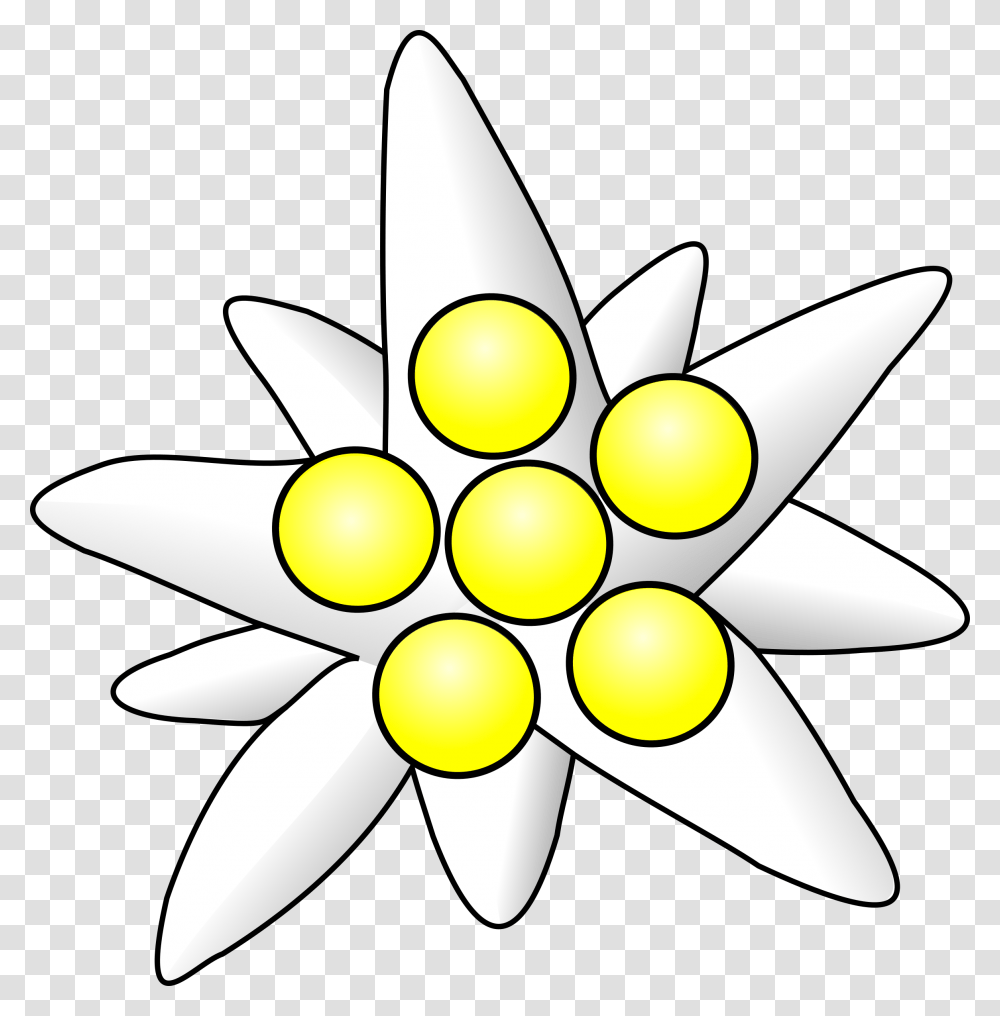 Edelweiss, Nature, Lamp, Star Symbol Transparent Png