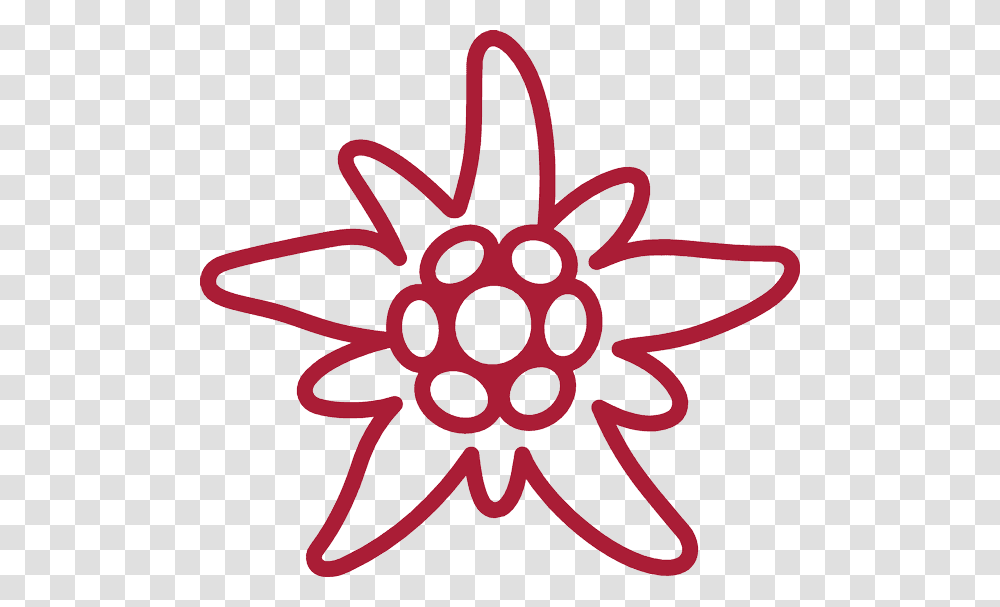 Edelweiss, Nature, Machine, Antelope, Animal Transparent Png