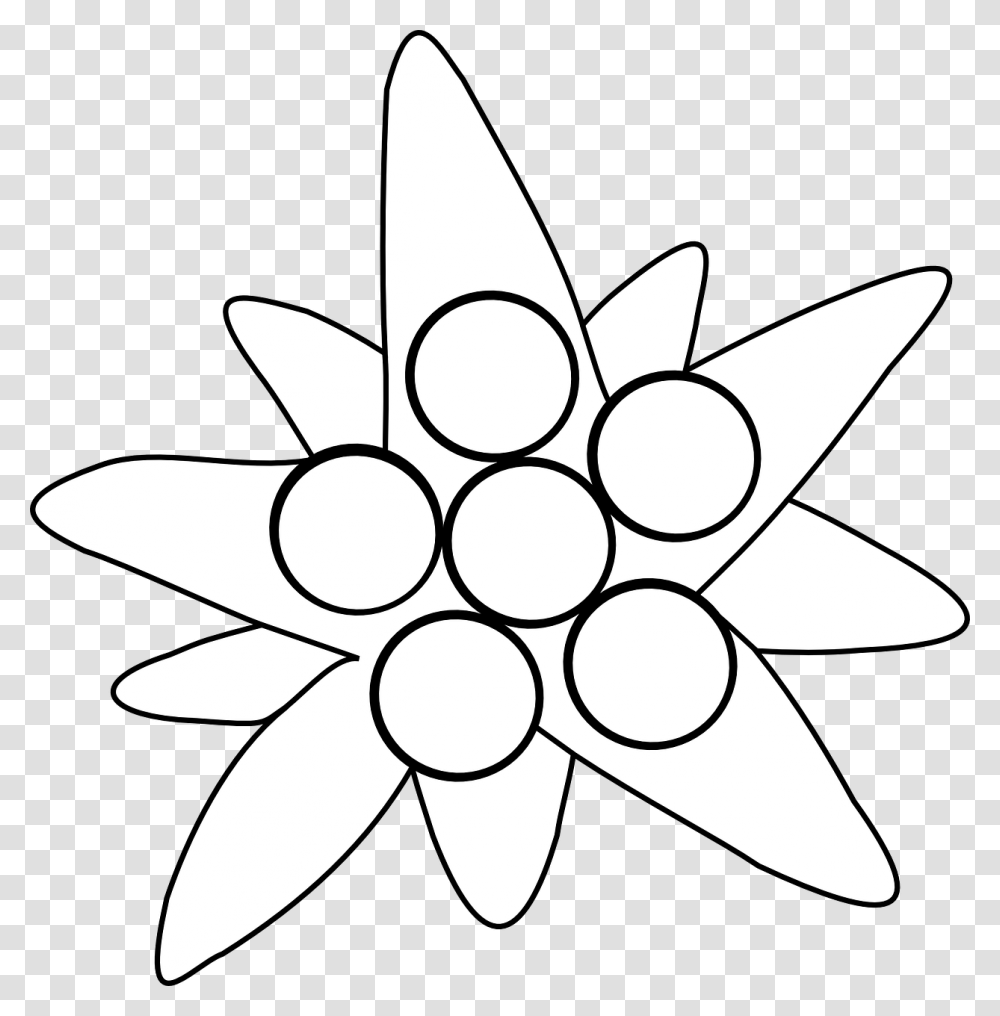 Edelweiss, Nature, Star Symbol, Cross Transparent Png