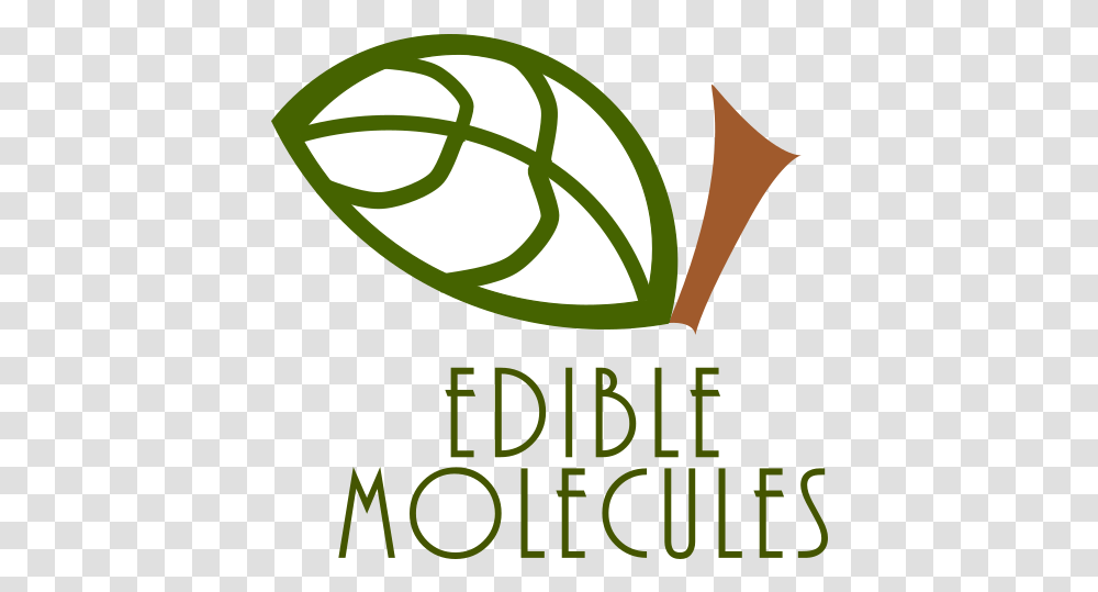 Edible Molecules, Horn, Brass Section, Musical Instrument, Text Transparent Png