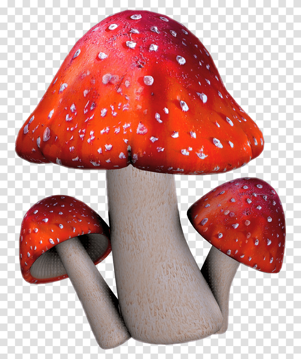 Edible Mushroom Clipart Toadstool, Fungus, Plant, Amanita, Agaric Transparent Png