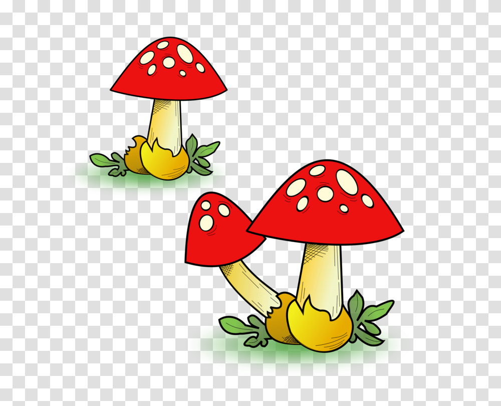 Edible Mushroom Common Mushroom Fungus True Morels, Plant, Amanita, Agaric, Photography Transparent Png