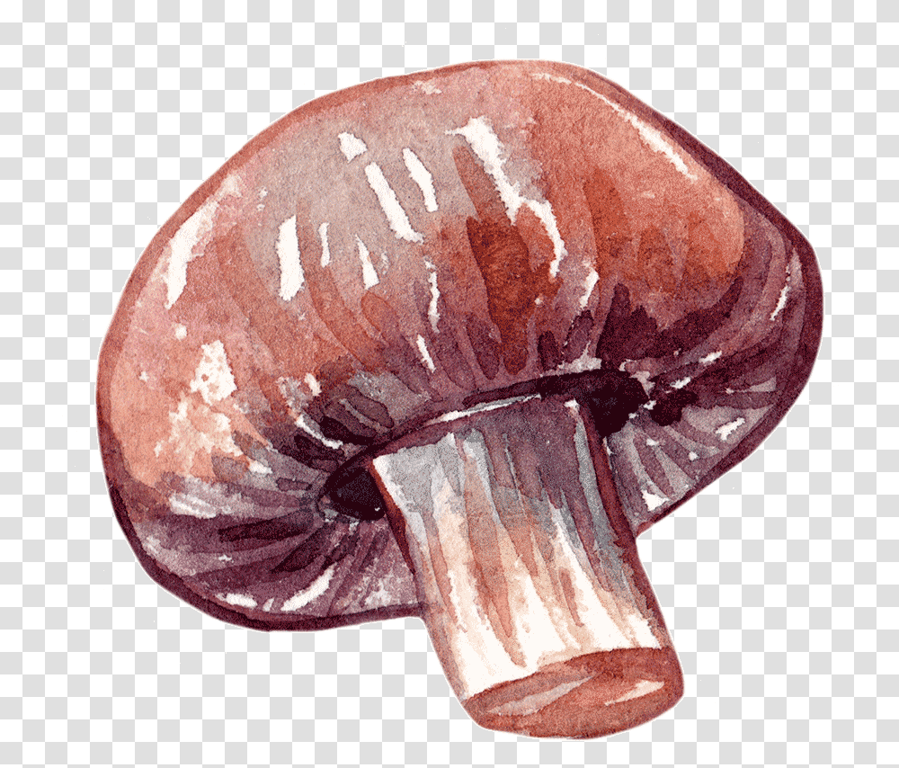 Edible Mushroom, Fungus, Animal, Plant, Gemstone Transparent Png
