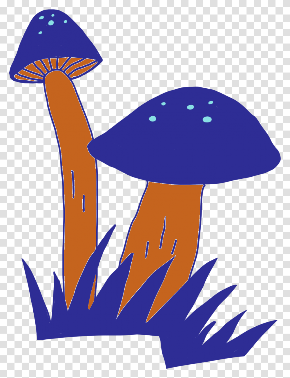 Edible Mushroom, Plant, Agaric, Fungus, Amanita Transparent Png