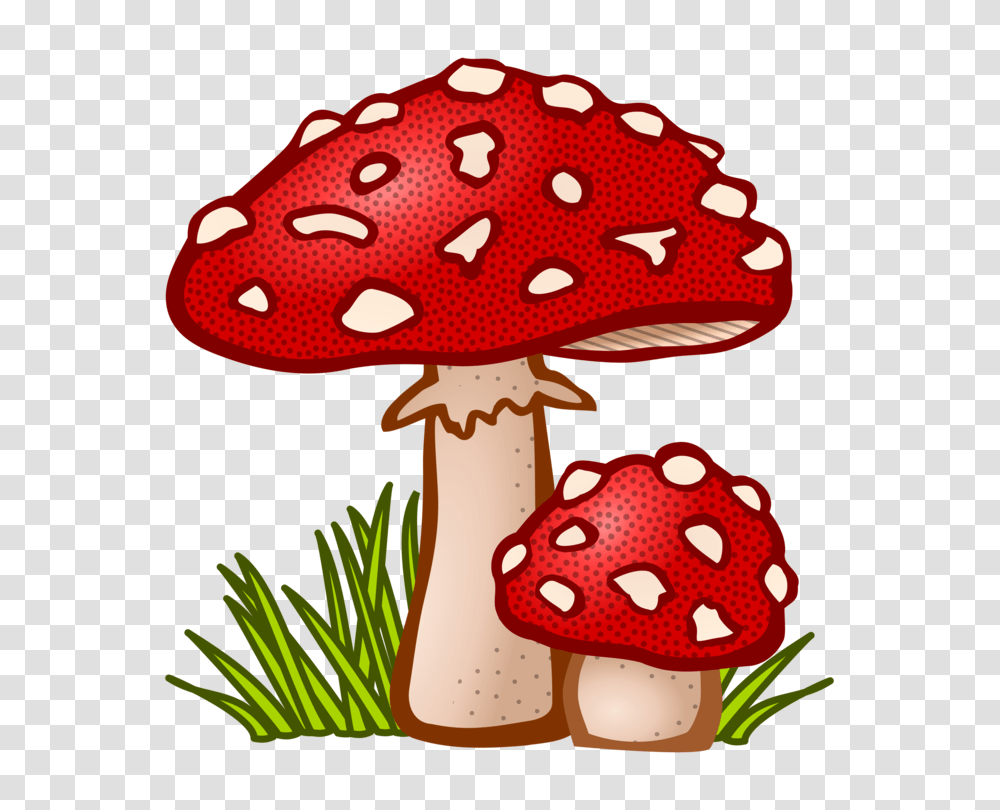 Edible Mushroom True Morels Fungus Download, Plant, Amanita, Agaric, Cross Transparent Png