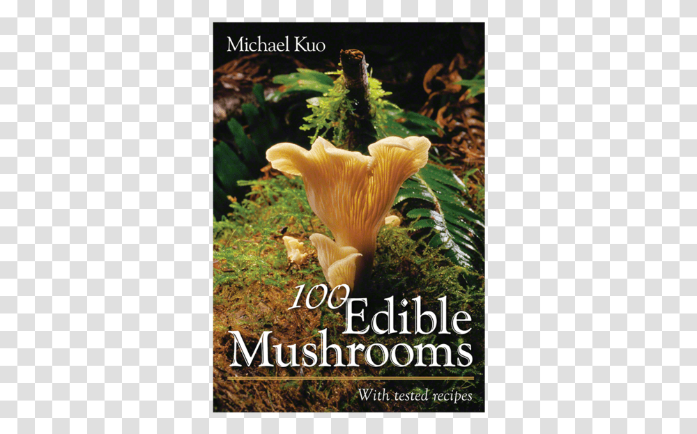 Edible MushroomsData Rimg LazyData Rimg 100 Edible Mushrooms, Plant, Fungus, Agaric, Amanita Transparent Png