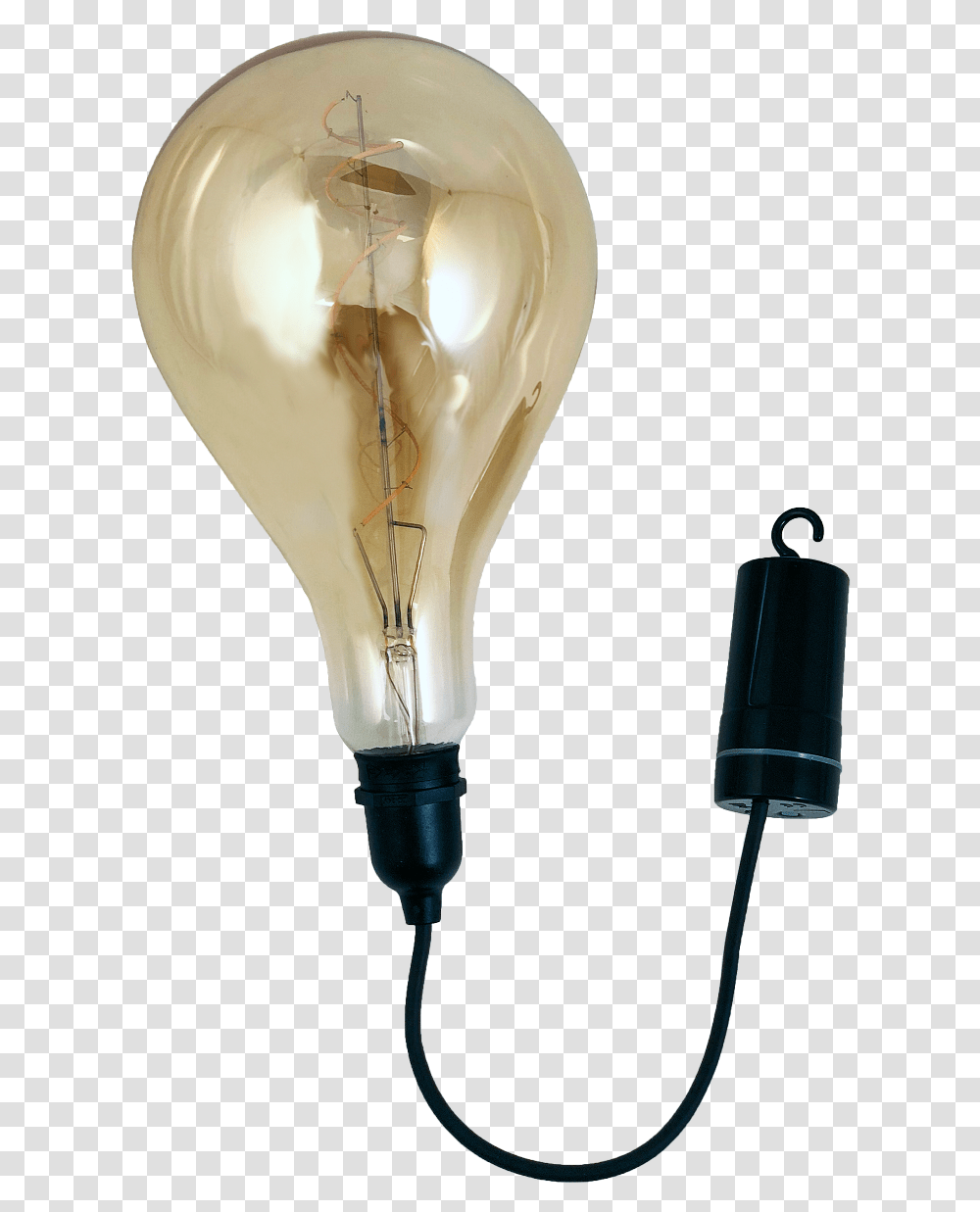 Edison Bulb, Light, Lightbulb, Lamp Transparent Png
