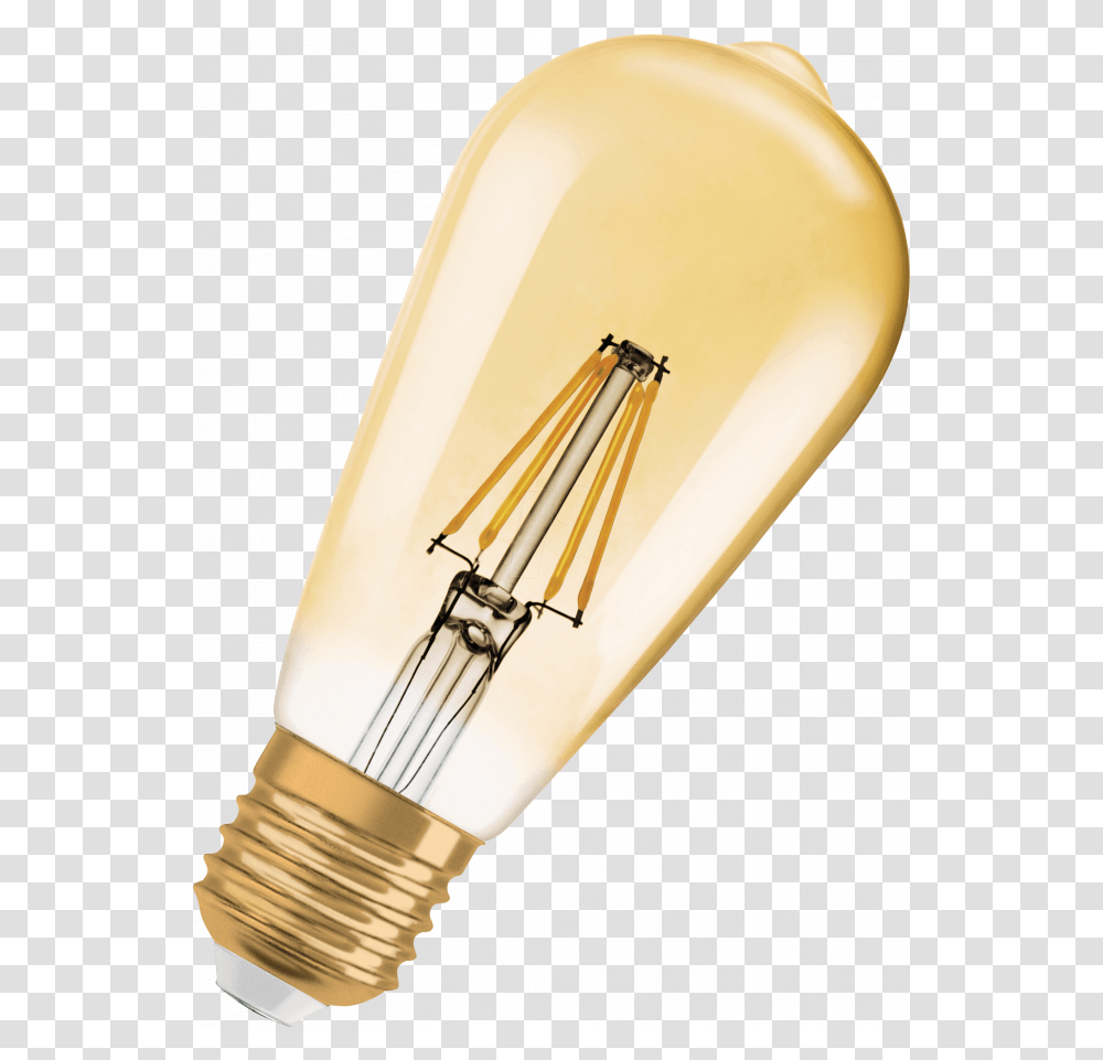Edison Bulb, Light, Lightbulb, Lamp Transparent Png