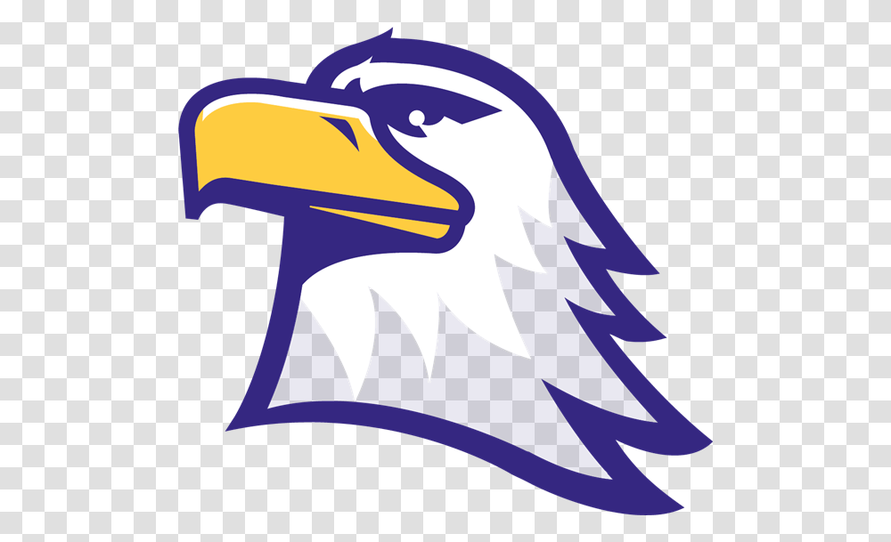 Edison Elementary Home, Bird, Animal, Eagle, Beak Transparent Png