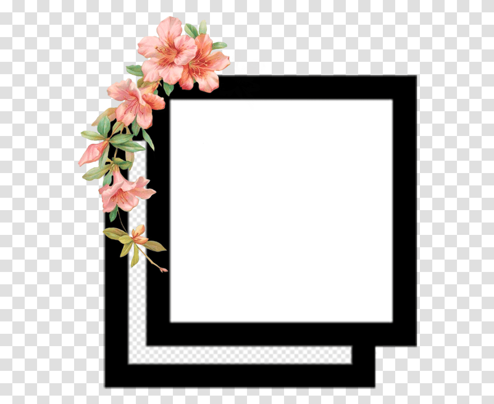 Edit Editing Editingneeds Flower Square Overlay Frame For Editing Video, Plant, Blossom, Petal, Text Transparent Png