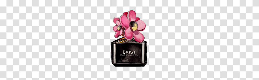 Edited, Bottle, Perfume, Cosmetics, Jewelry Transparent Png