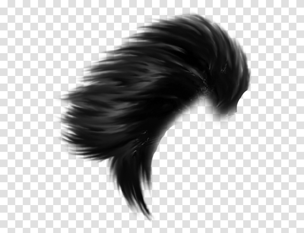 Editing Hair Style, Bird, Animal, Person Transparent Png