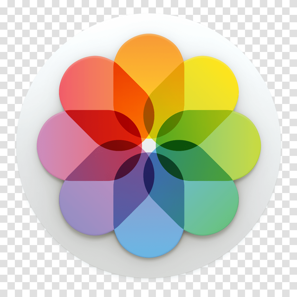 Editing Station Capabilities Icon Iphone, Soccer Ball, Graphics, Art, Floral Design Transparent Png