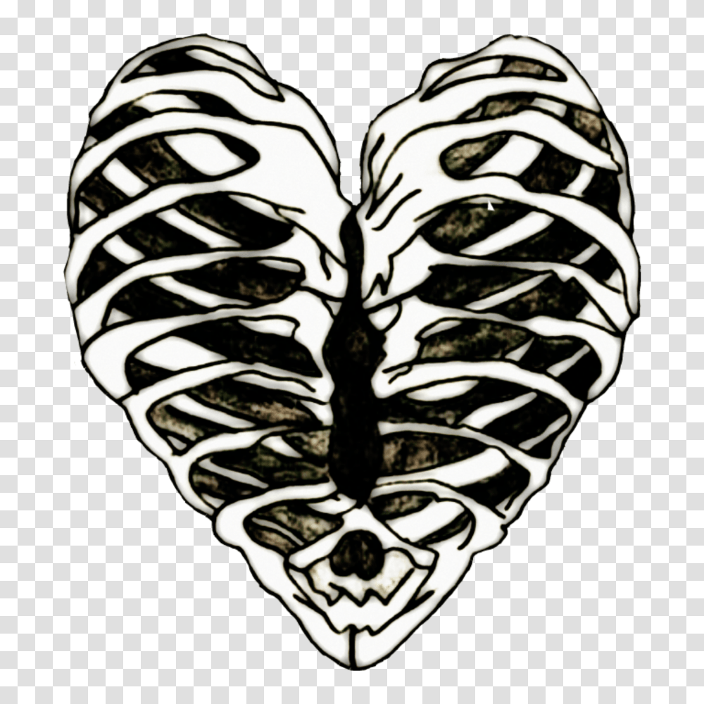 Edits Ribs Ribcage Heart Bones Art Stickers, Plant, Flower, Blossom, Food Transparent Png