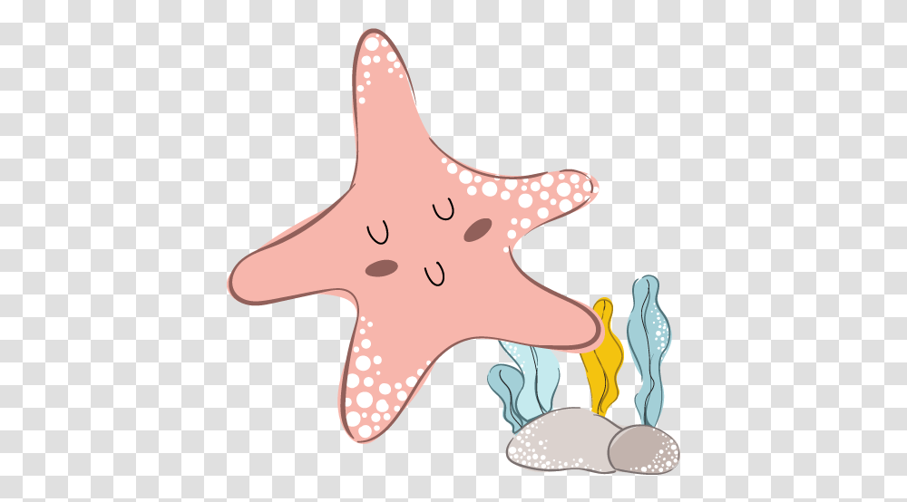 Edrington Park Childcare Centre And Kindergarten Starfish Lovely, Sea Life, Animal, Invertebrate, Giraffe Transparent Png