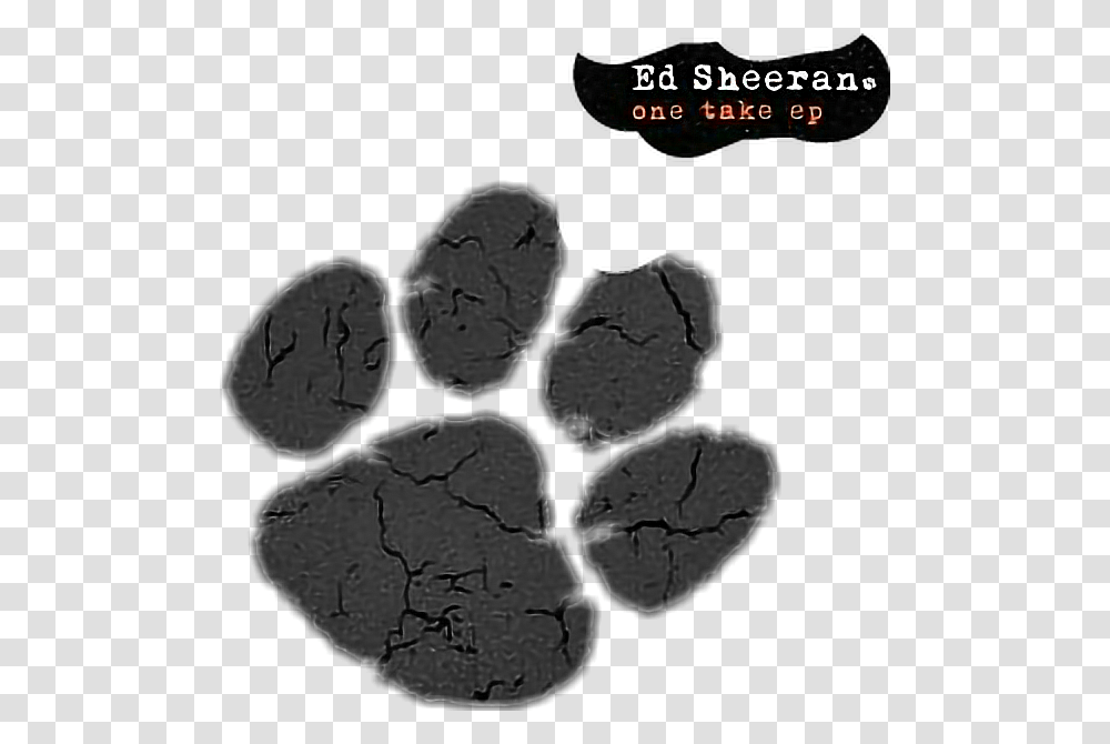 Edsheeran Onetakeep Albumedsheeran Ed Sheeran Ed Sheeran Cat Paw, Coal, Painting Transparent Png