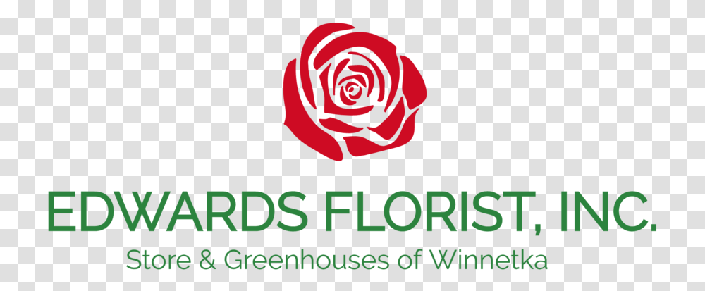 Edwards Florist Inc Garden Roses, Flower, Plant, Blossom, Logo Transparent Png