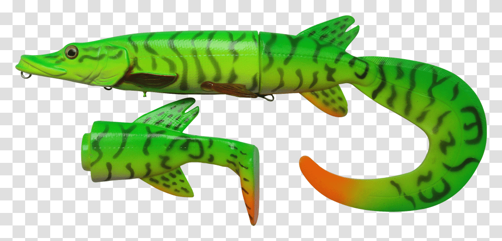 Eel Baby Green Northern Pike Transparent Png