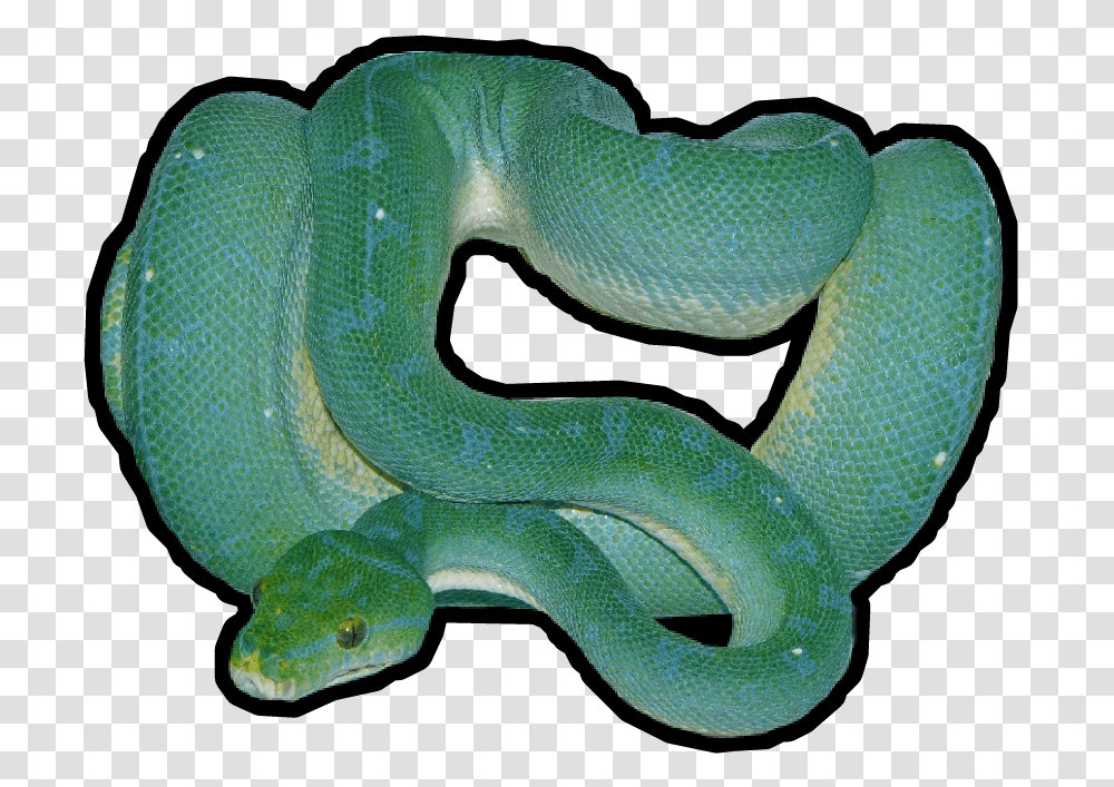 Eel Clipart Snake, Reptile, Animal, Green Snake Transparent Png