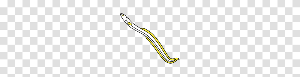 Eel Clipart, Tool, Brush, Toothbrush, Sleeve Transparent Png