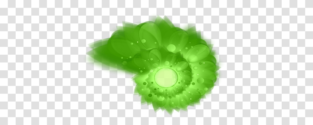 Effect Green, Photography Transparent Png