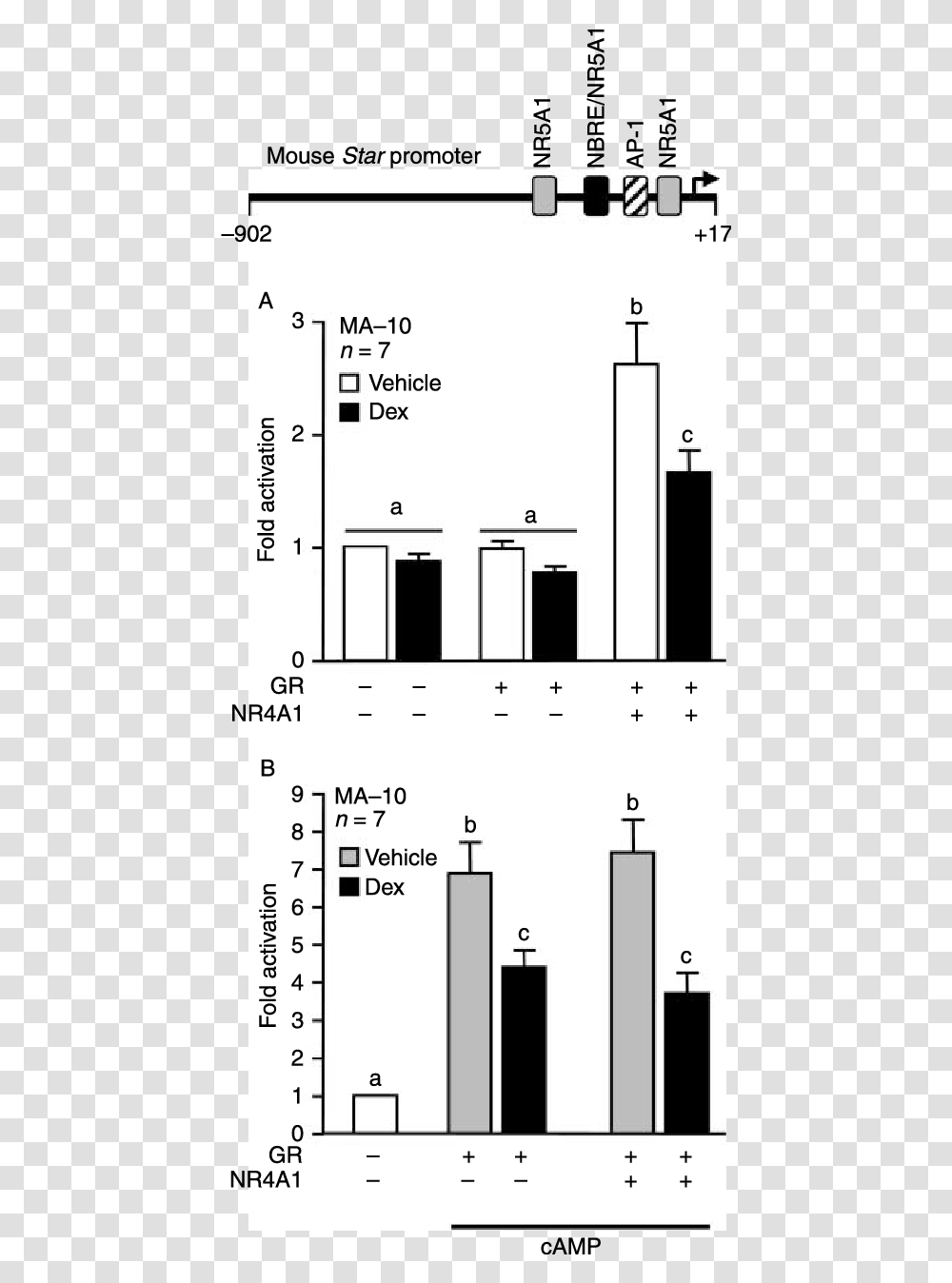 Effect Of Gr Mediated Repression Of Star Promoter Vertical, Plot, Diagram, Plan, Text Transparent Png