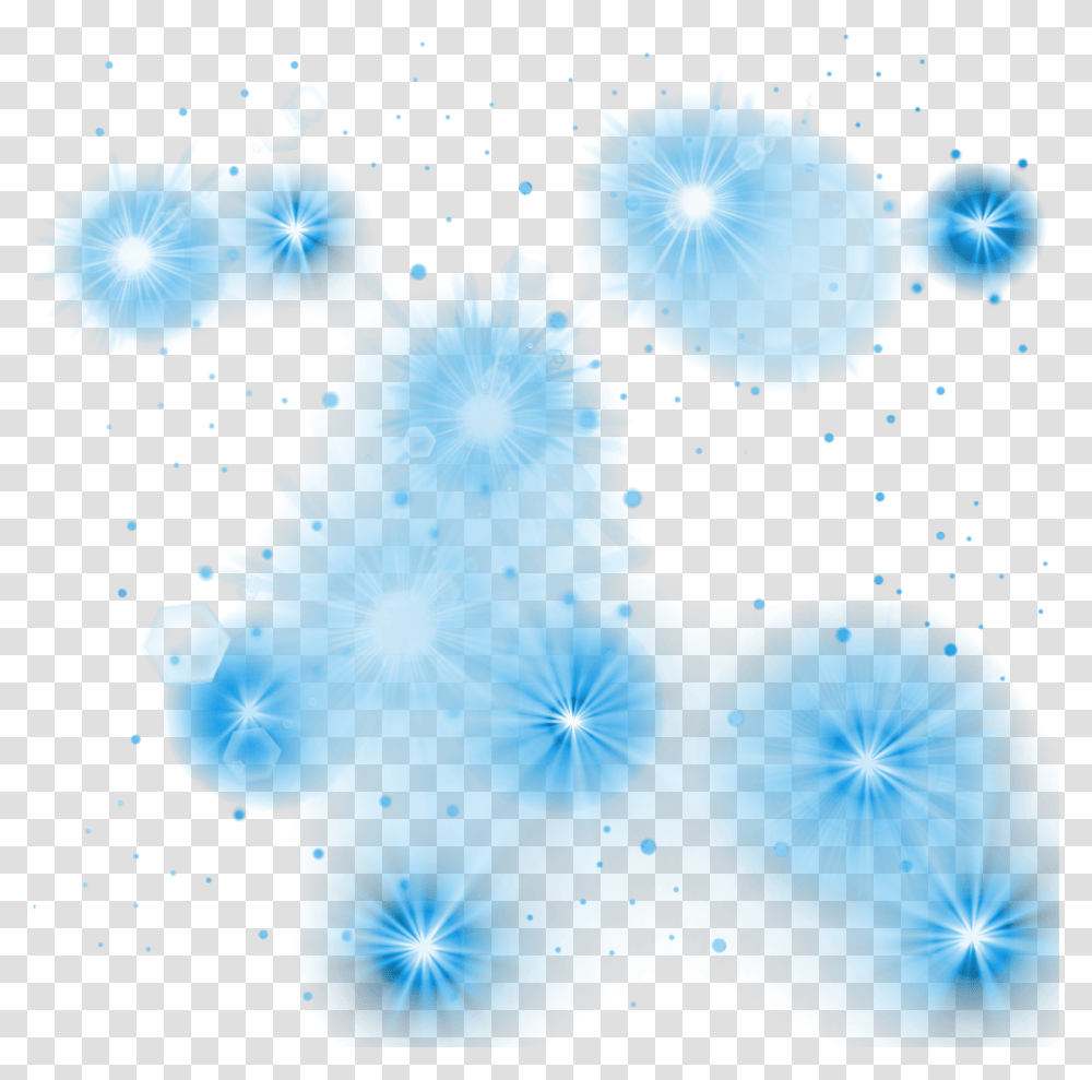Effects Blue Lights, Network, Geranium, Flower, Plant Transparent Png