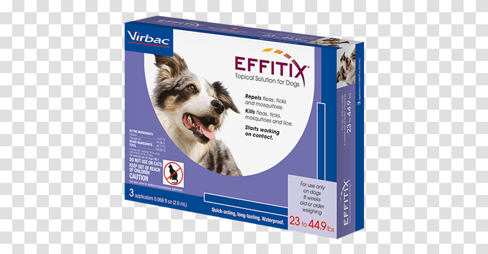 Effitix Dlya Sobak, Dog, Canine, Animal Transparent Png