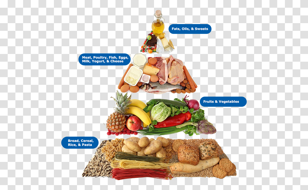 Egal S Art Print Carbohydrates Types Of Nutrients, Meal, Food, Birthday Cake, Dessert Transparent Png