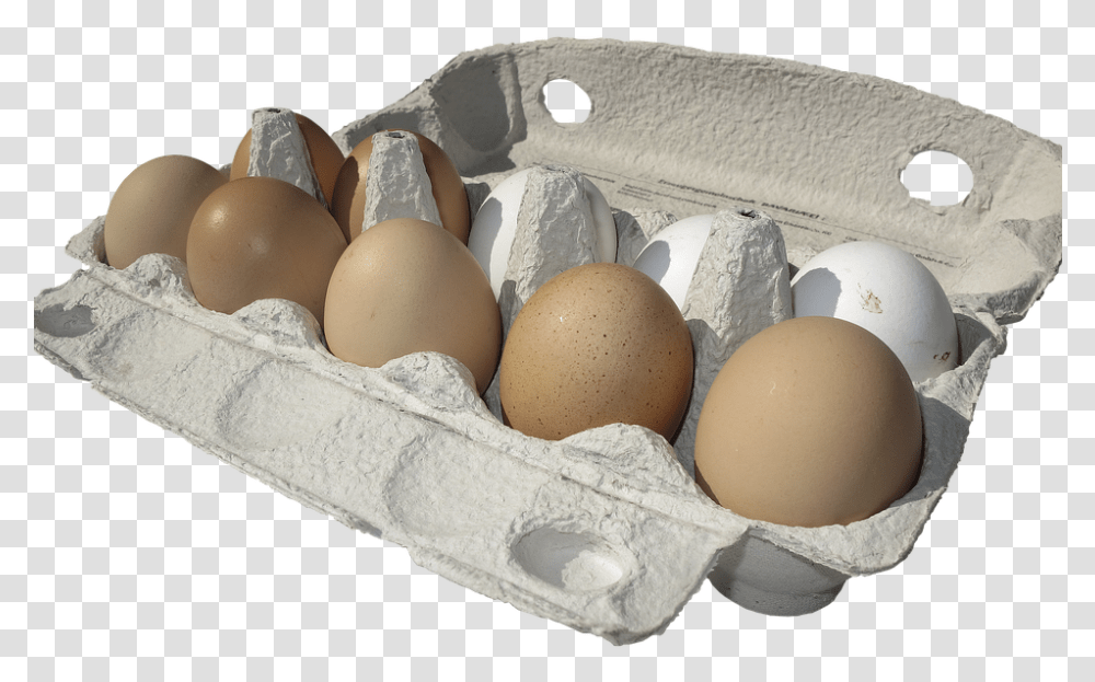 Egg Carton Lots Of Eggs Carton Of Eggs, Food, Meal, Easter Egg Transparent Png