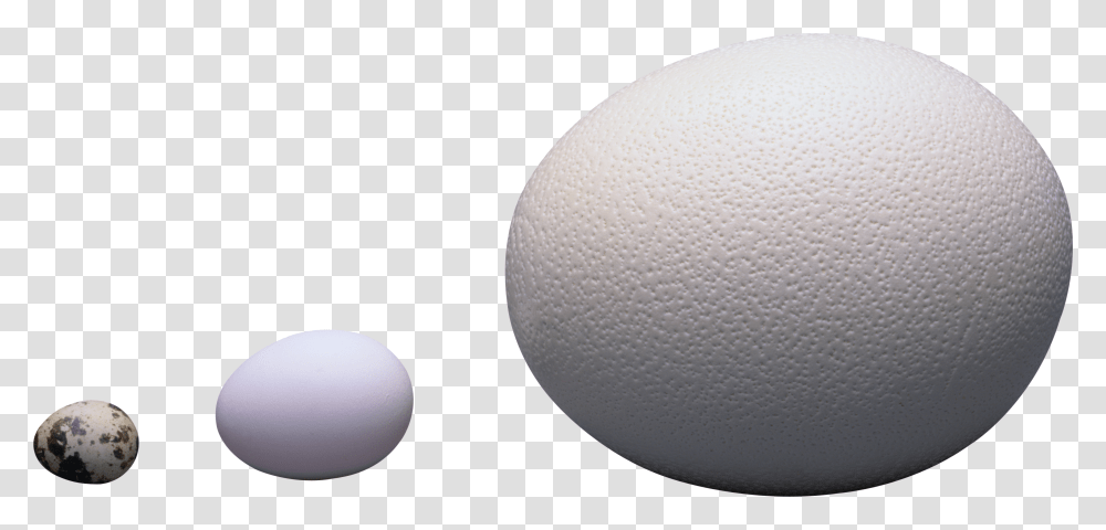 Egg, Food, Ball, Medication Transparent Png