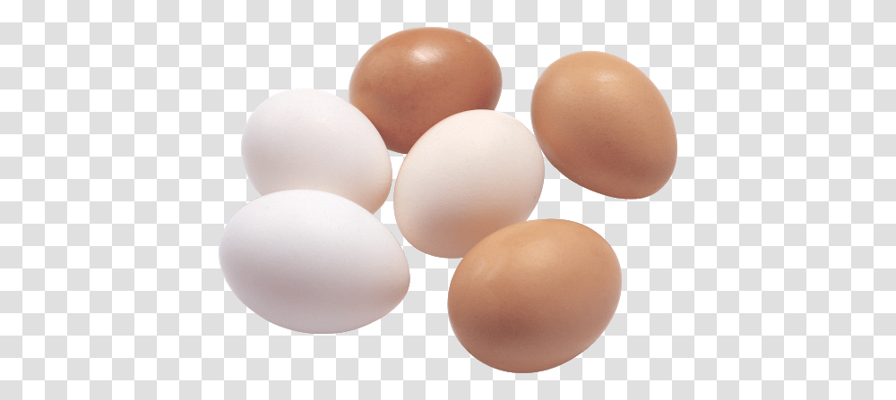 Egg, Food, Easter Egg Transparent Png