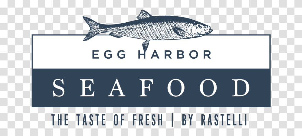 Egg Harbor Seafood Fish Products, Mullet Fish, Sea Life, Animal, Herring Transparent Png