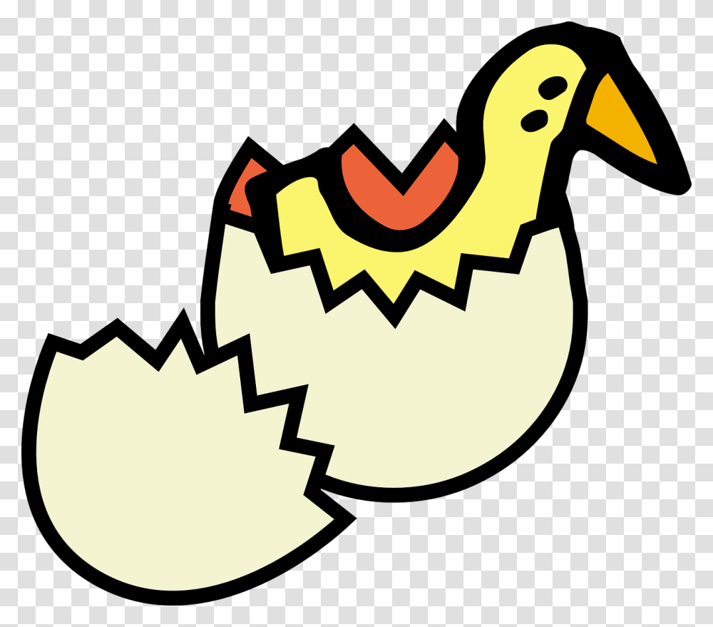 Egg Shell Clipart, Animal, Bird, Fowl, Poultry Transparent Png