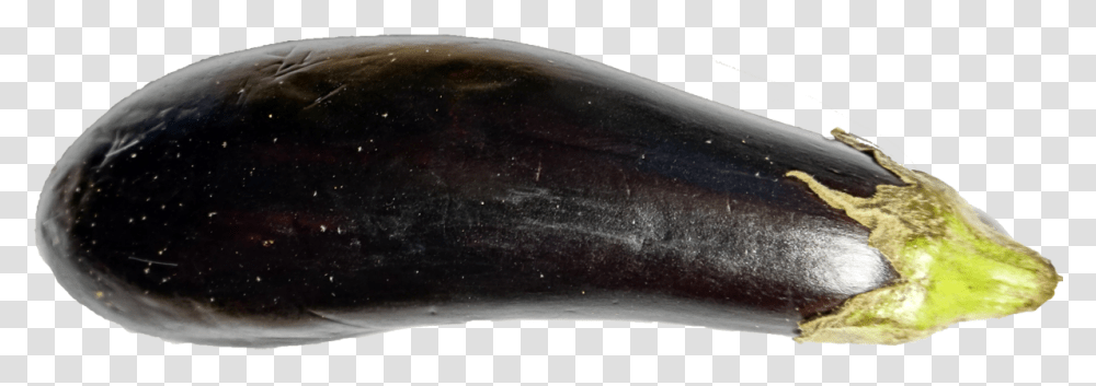 Eggplant 2 Fender, Vegetable, Food, Fish, Animal Transparent Png