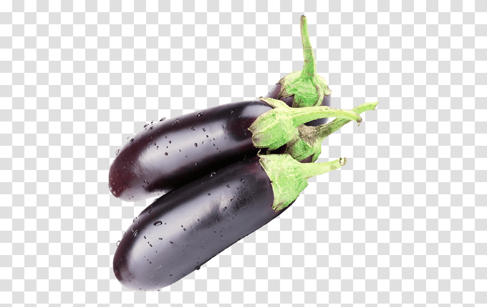 Eggplant Download Eggplant, Vegetable, Food Transparent Png