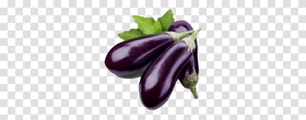 Eggplant Images Eggplant, Vegetable, Food, Rose, Flower Transparent Png