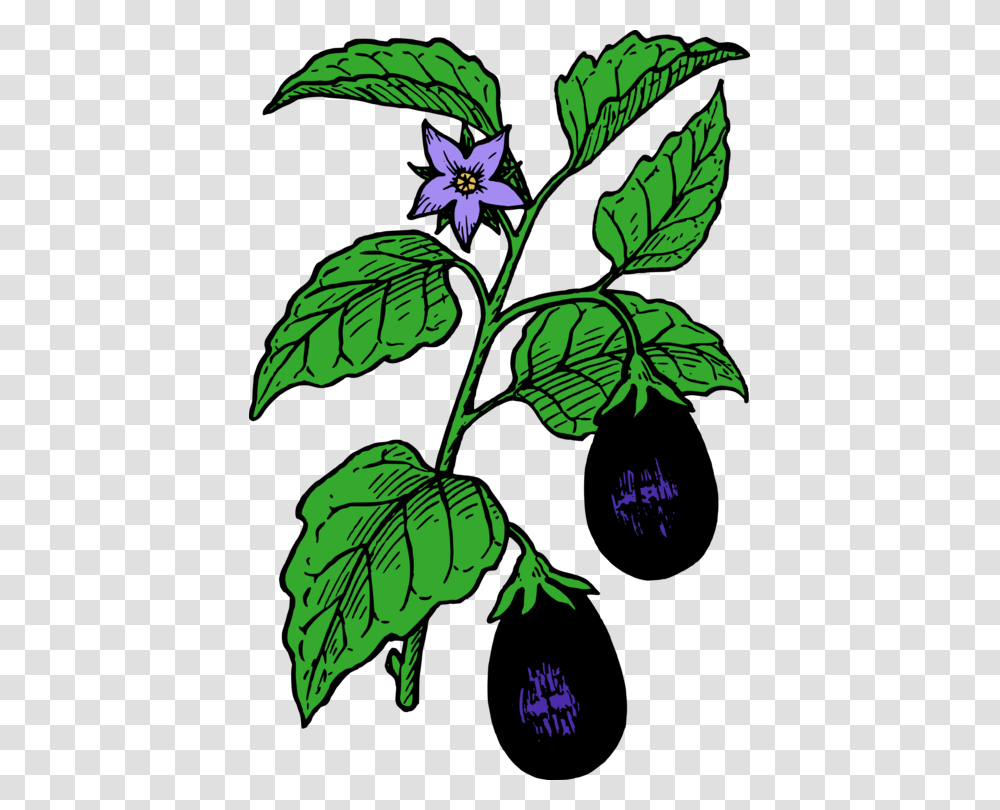 Eggplant Parmigiana Lasagne Tomato Drawing, Acanthaceae, Flower, Annonaceae, Tree Transparent Png