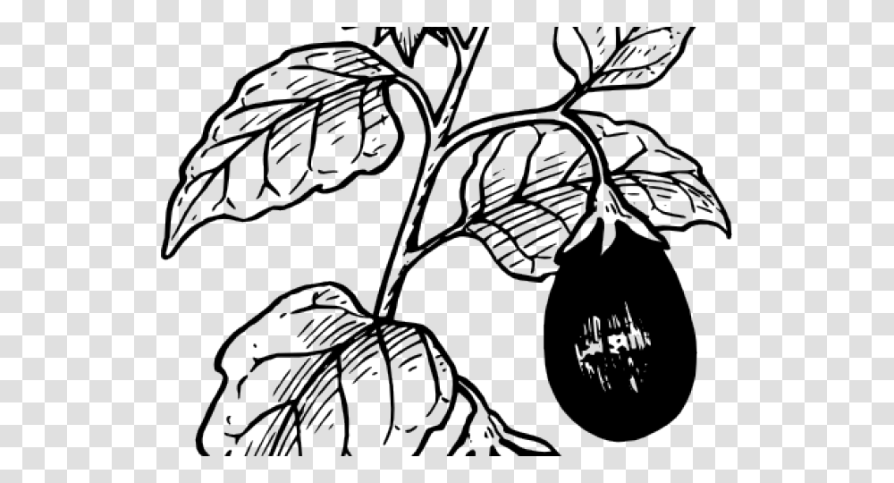Eggplant Plant Clipart Black And White, Flower, Fruit, Food, Blueberry Transparent Png