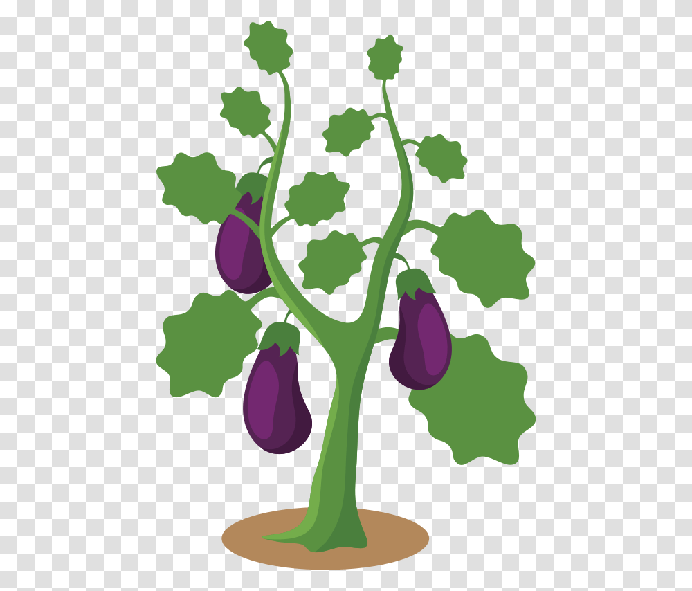 Eggplant Plant Clipart, Vegetable, Food, Purple Transparent Png