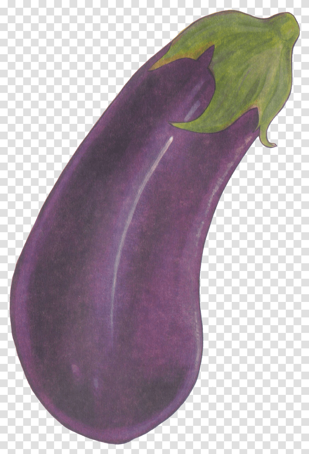 Eggplant Purple Health Love Eggplant Download 1427 Eggplant, Vegetable, Food, Moon, Outer Space Transparent Png