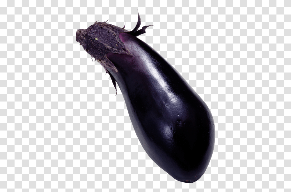 Eggplant, Vegetable, Food, Bird, Animal Transparent Png