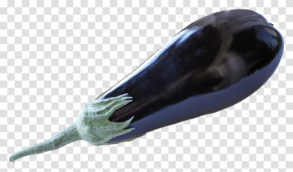 Eggplant, Vegetable, Food, Mammal, Animal Transparent Png