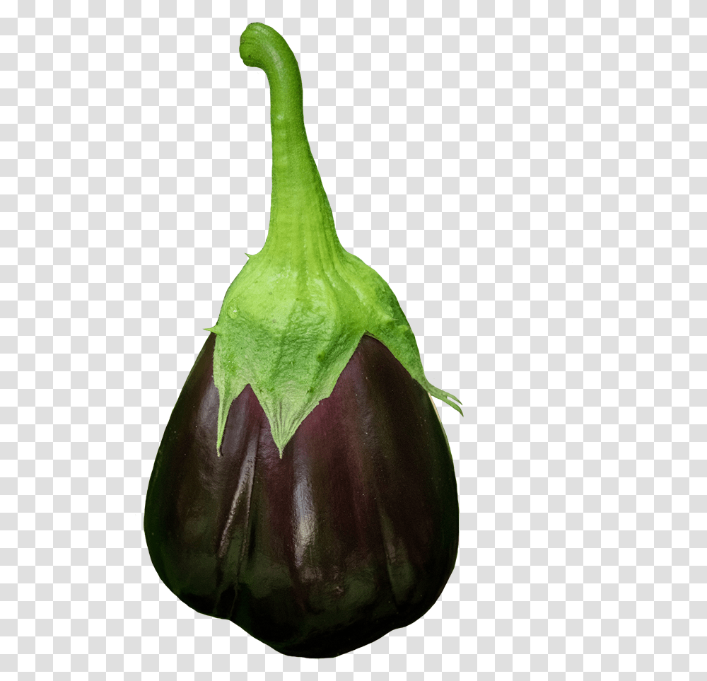 Eggplant With Stem, Vegetable, Food, Bird, Animal Transparent Png
