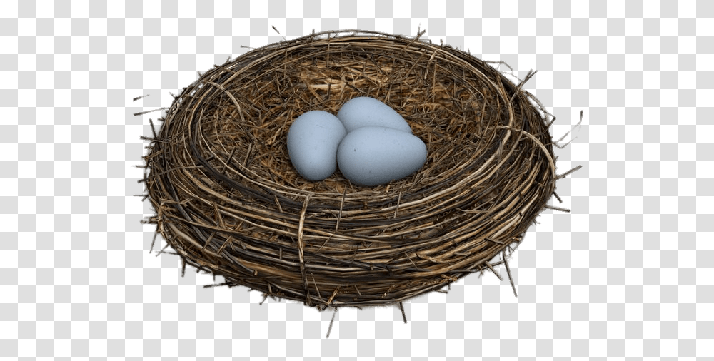 Eggs In Bird Nest Bird Nest Background, Food Transparent Png