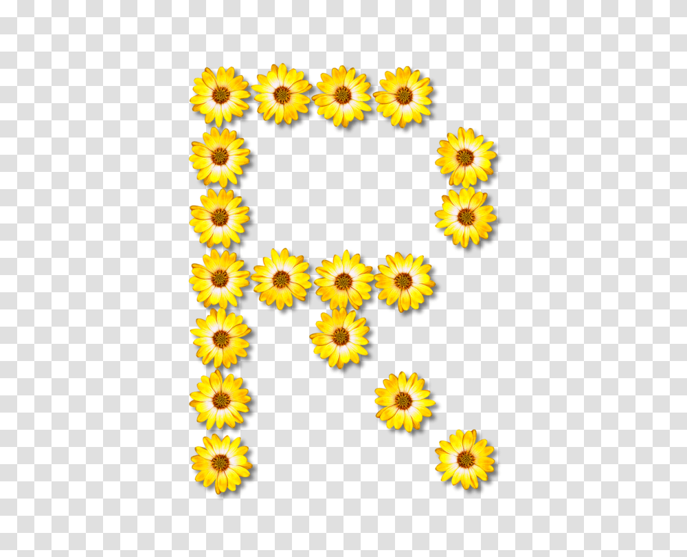 Egr Power Summit Common Sunflower Data Advertising Free, Plant, Rug Transparent Png