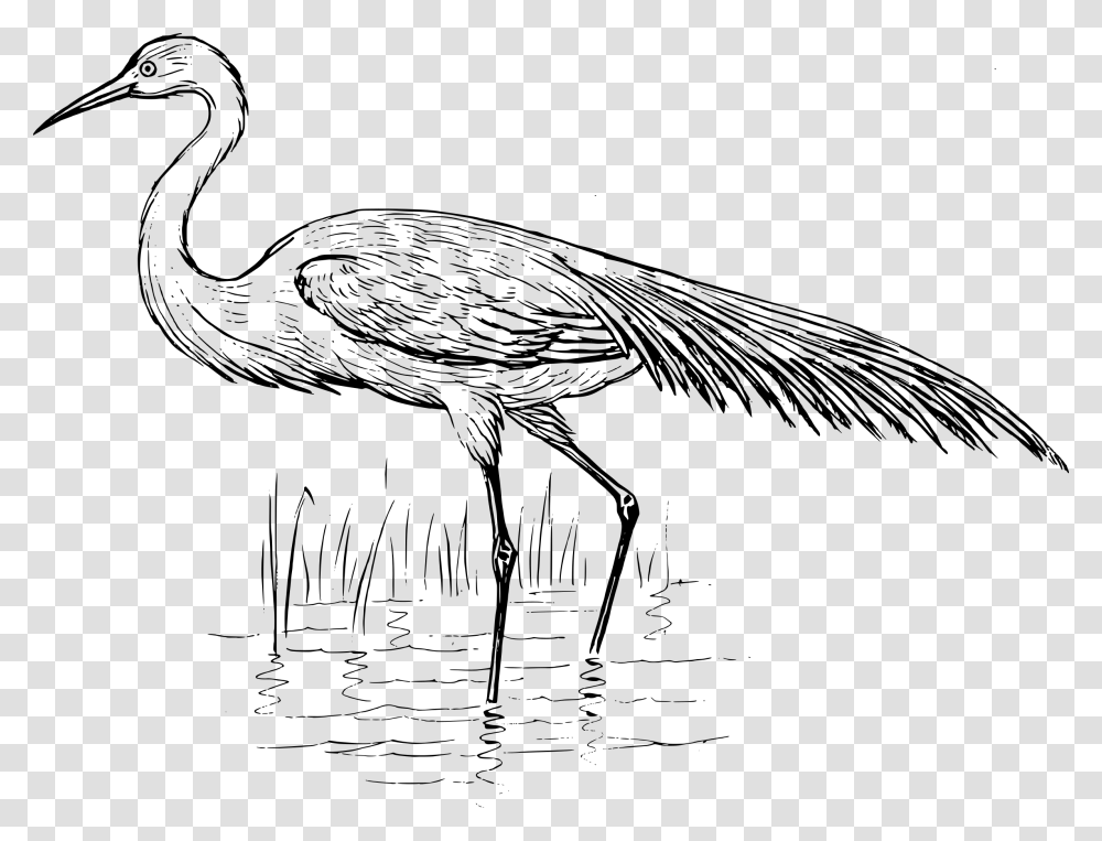 Egret Drawing At Getdrawings Blue Crane Black And White Clipart, Gray, World Of Warcraft Transparent Png