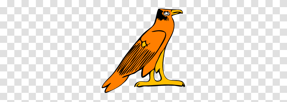 Egypt Clip Art, Bird, Animal, Beak, Vulture Transparent Png