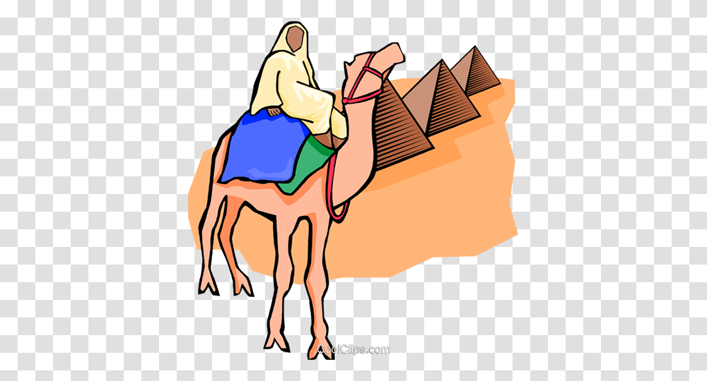 Egyptian On Camel Pyramids Royalty Free Vector Clip Art, Architecture, Building, Mammal, Animal Transparent Png
